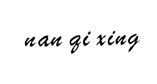 NAN QI XING logo