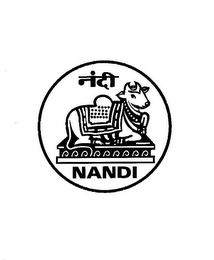 NANDI logo