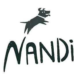 NANDI logo