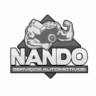 NANDO SERVIÇOS AUTOMOTIVOS logo