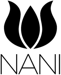 NANI logo