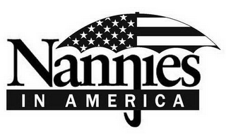 NANNIES IN AMERICA logo