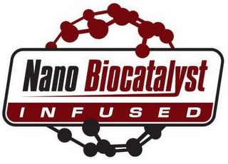 NANO BIOCATALYST INFUSED logo