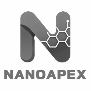 NANOAPEX logo