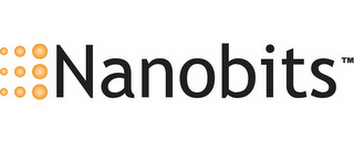 NANOBITS logo