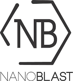 NANOBLAST NB logo