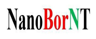 NANOBORNT logo