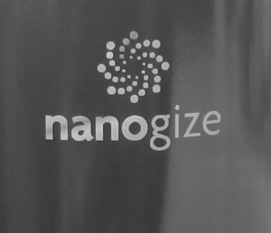 NANOGIZE logo