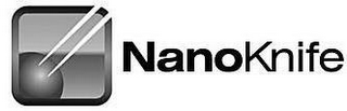 NANOKNIFE logo