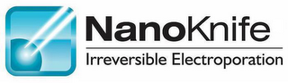 NANOKNIFE IRREVERSIBLE ELECTROPORATION logo