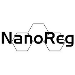 NANOREG logo