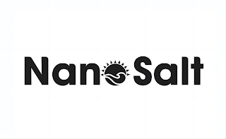 NANOSALT logo