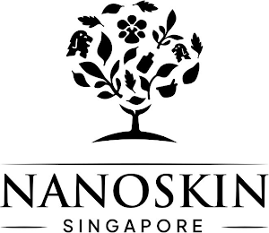 NANOSKIN SINGAPORE logo