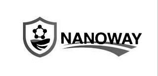 NANOWAY logo