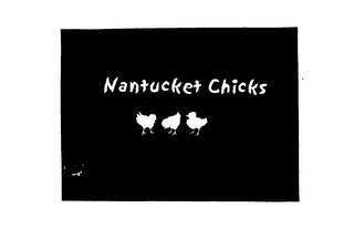 NANTUCKET CHICKS logo