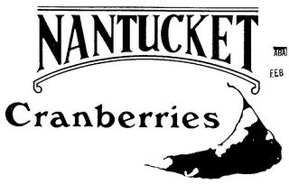 NANTUCKET CRANBERRIES logo