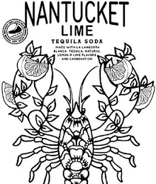 NANTUCKET LIME TEQUILA SODA MADE WITH LA LANGOSTA BLANCA TEQUILA NATURAL LEMON & LIME FLAVORS AND CARBONATION NANTUCKET CRAFT COCKTAILS TRIPLE EIGHT EST. 2020