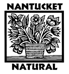 NANTUCKET NATURAL logo