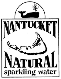 NANTUCKET NATURAL SPARKLING WATER logo