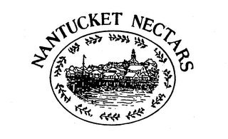 NANTUCKET NECTARS logo