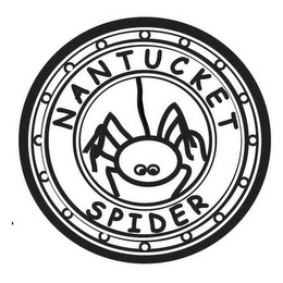 NANTUCKET SPIDER logo