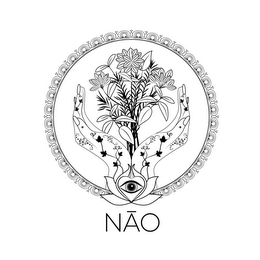 NAO logo