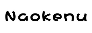 NAOKENU logo