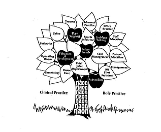 NAON PEER SUPPORT SPORTS MEDICINE PROBLEM SOLVING EDUCATION & DEVELOPMENT FUTURE TRENDS TOTAL JOINT REPLACEMENT HOME CARE GERONTOLOGY OPERATING ROOM PEDIATRICS SPINE TRAUMA ADVANCED PRACTICE OFFICE PRACTICE STAFF EDUCATION CASE MANAGEMENT PATIENT EDUCATION MANAGEMENT RN FIRST ASSISTANT NETWORKING CLINICAL PRACTICE ROLE PRACTICE logo
