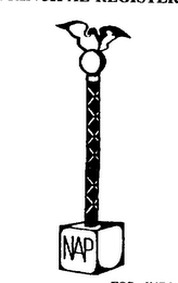 NAP logo
