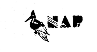 NAP logo