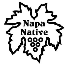 NAPA NATIVE logo