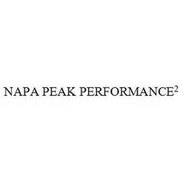 NAPA PEAK PERFORMANCE2 logo