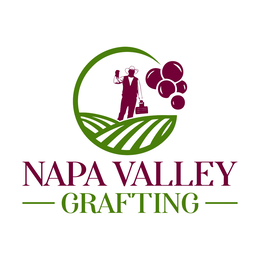 NAPA VALLEY GRAFTING logo