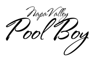 NAPA VALLEY POOL BOY logo