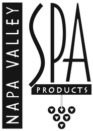 NAPA VALLEY SPA PRODUCTS logo