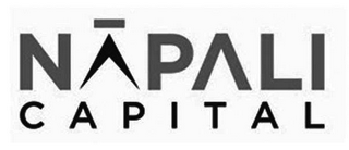 NAPALI CAPITAL logo