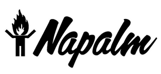 NAPALM logo