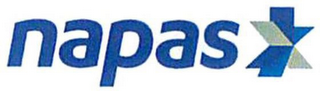 NAPAS logo