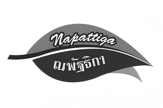 NAPATTIGA logo