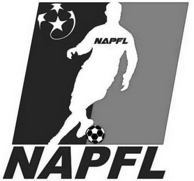 NAPFL NAPFL logo