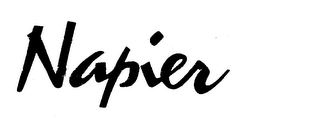 NAPIER logo