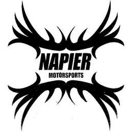 NAPIER MOTORSPORTS logo