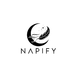 NAPIFY logo