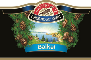 NAPITKI IZ CHERNOGOLOVKI BAIKAL logo