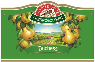 NAPITKI IZ CHERNOGOLOVKI DUCHESS logo