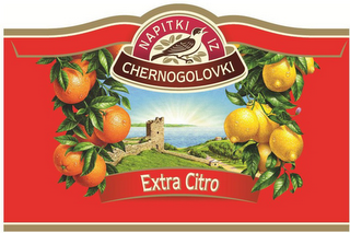 NAPITKI IZ CHERNOGOLOVKI EXTRA CITRO logo
