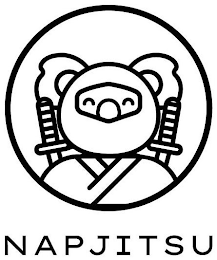 NAPJITSU logo
