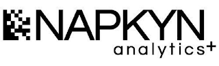 NAPKYN ANALYTICS + logo