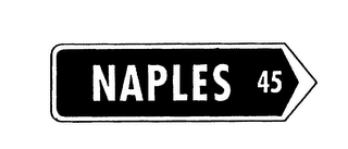 NAPLES 45 logo
