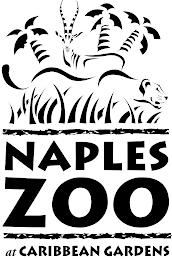 NAPLES ZOO AT CARIBBEAN GARDENS logo
